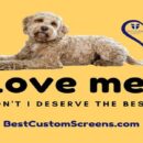 Reasons To Invest In A Quality Pet Door For Your Screen Door