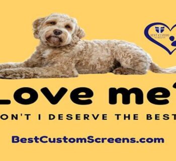 Reasons To Invest In A Quality Pet Door For Your Screen Door