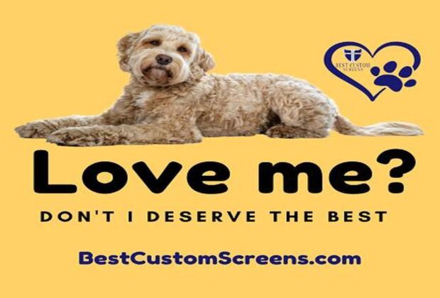 Reasons To Invest In A Quality Pet Door For Your Screen Door
