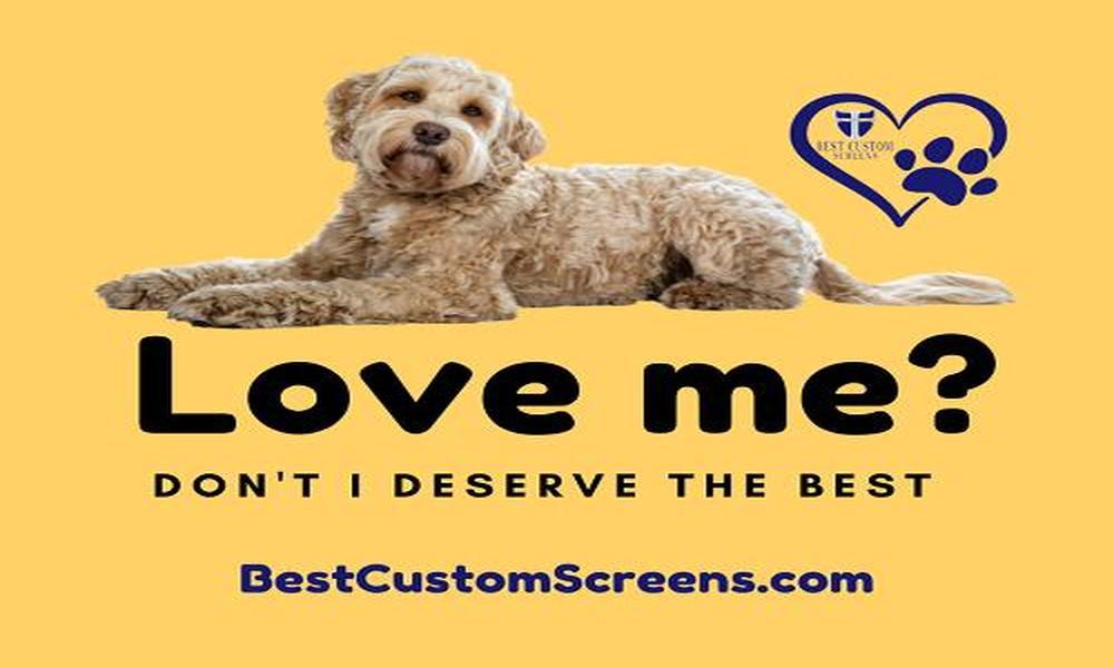 Reasons To Invest In A Quality Pet Door For Your Screen Door