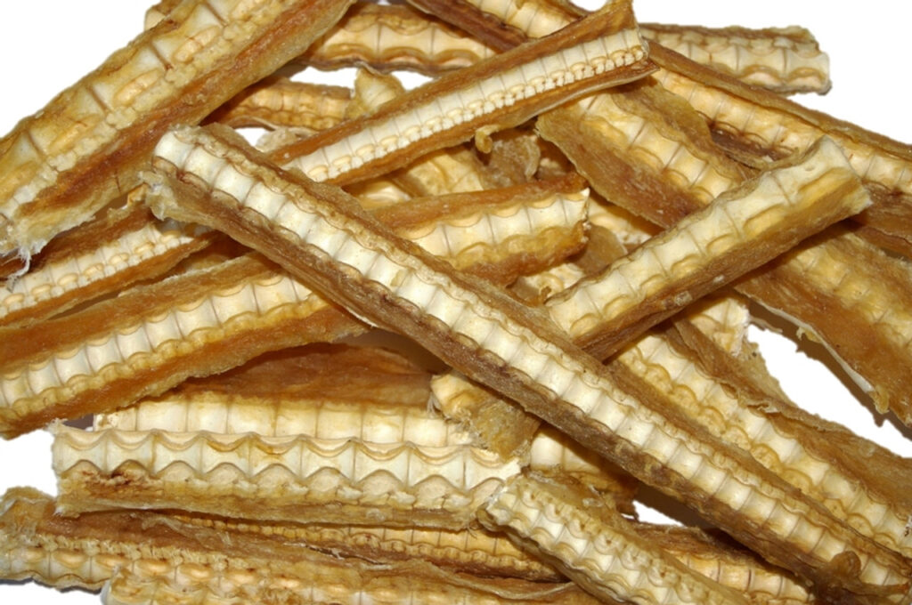The amazing shark cartilage treat for dog health benefits.